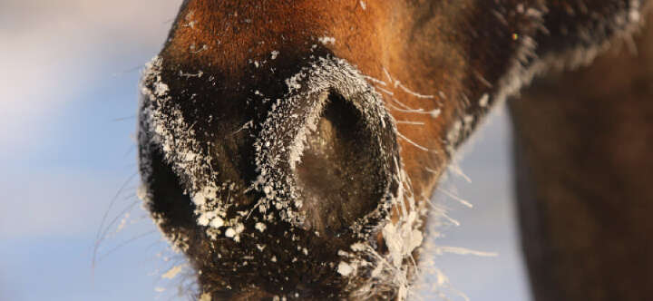 fit durch die kalte jahreszeit immunsystem einstiegbanner 900x415